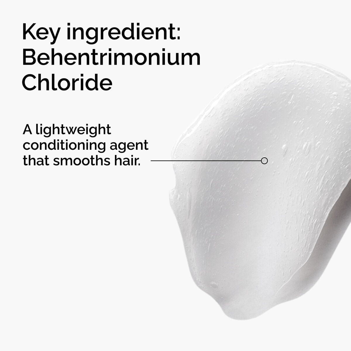 behentrimonium-chloride-2-conditioner-a6 FY25-D41247-ORD-Web-PDP-BTC-1x1-EN-2a.jpg