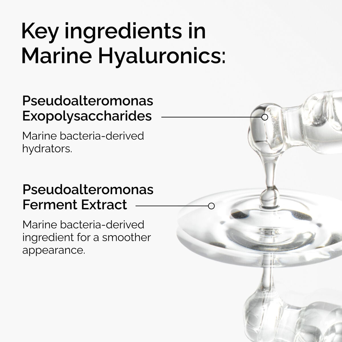 marine-hyaluronics-c2 FY25-D41247-ORD-Web-PDP-Marine-Hya-1x1-EN-2a.jpg